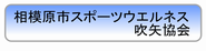 相模原市SWFA